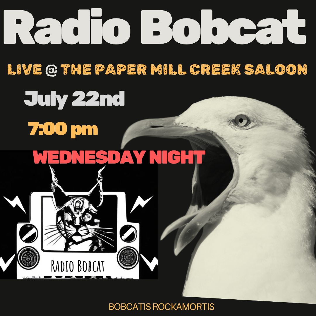 Radio Bobcat at the Paper Mill Creek Saloon 2026.07.22